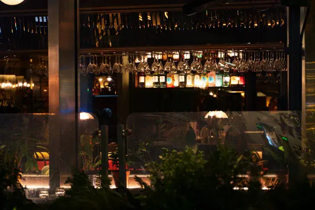 An evening at a bar